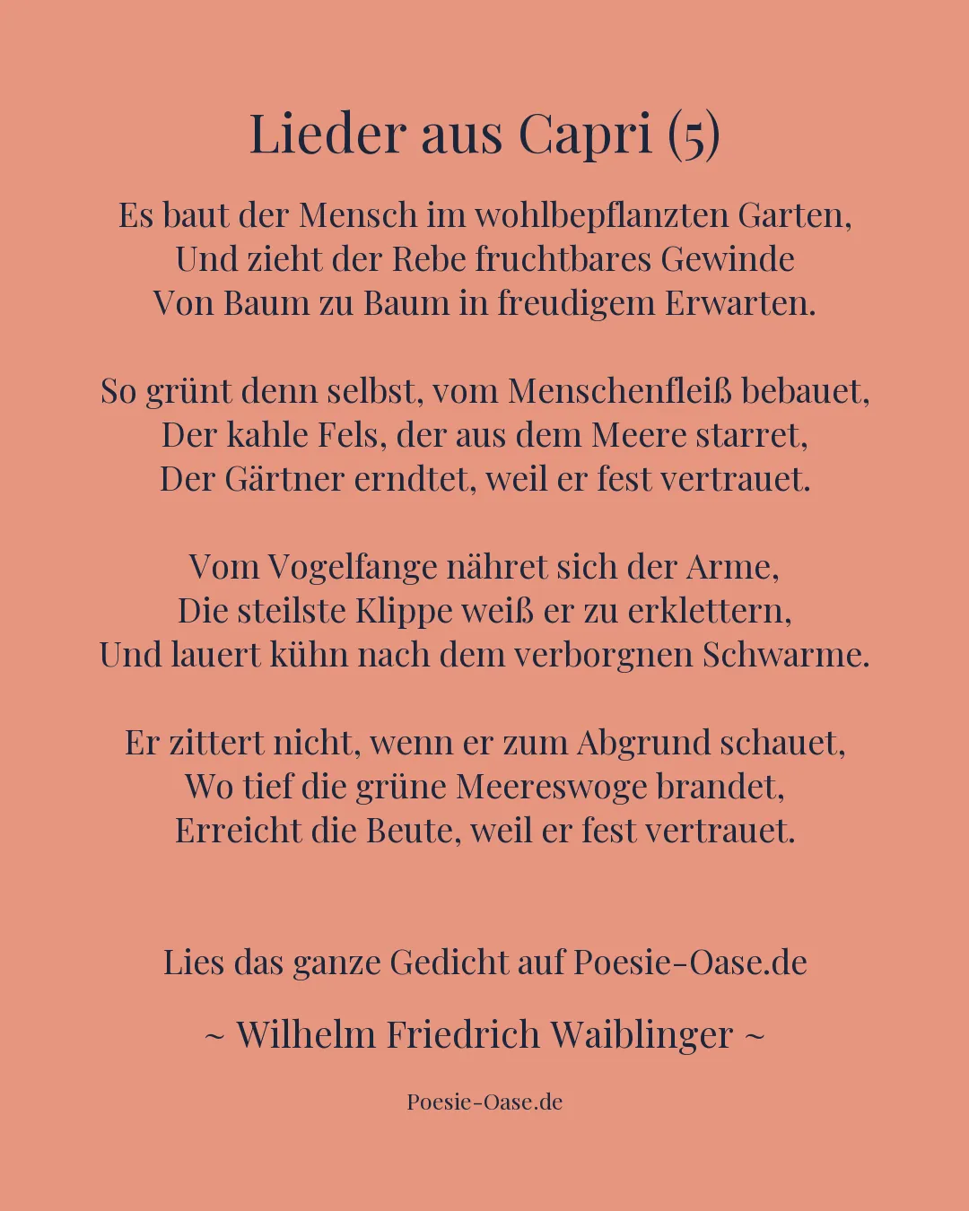Illustration zu Lieder aus Capri (5)