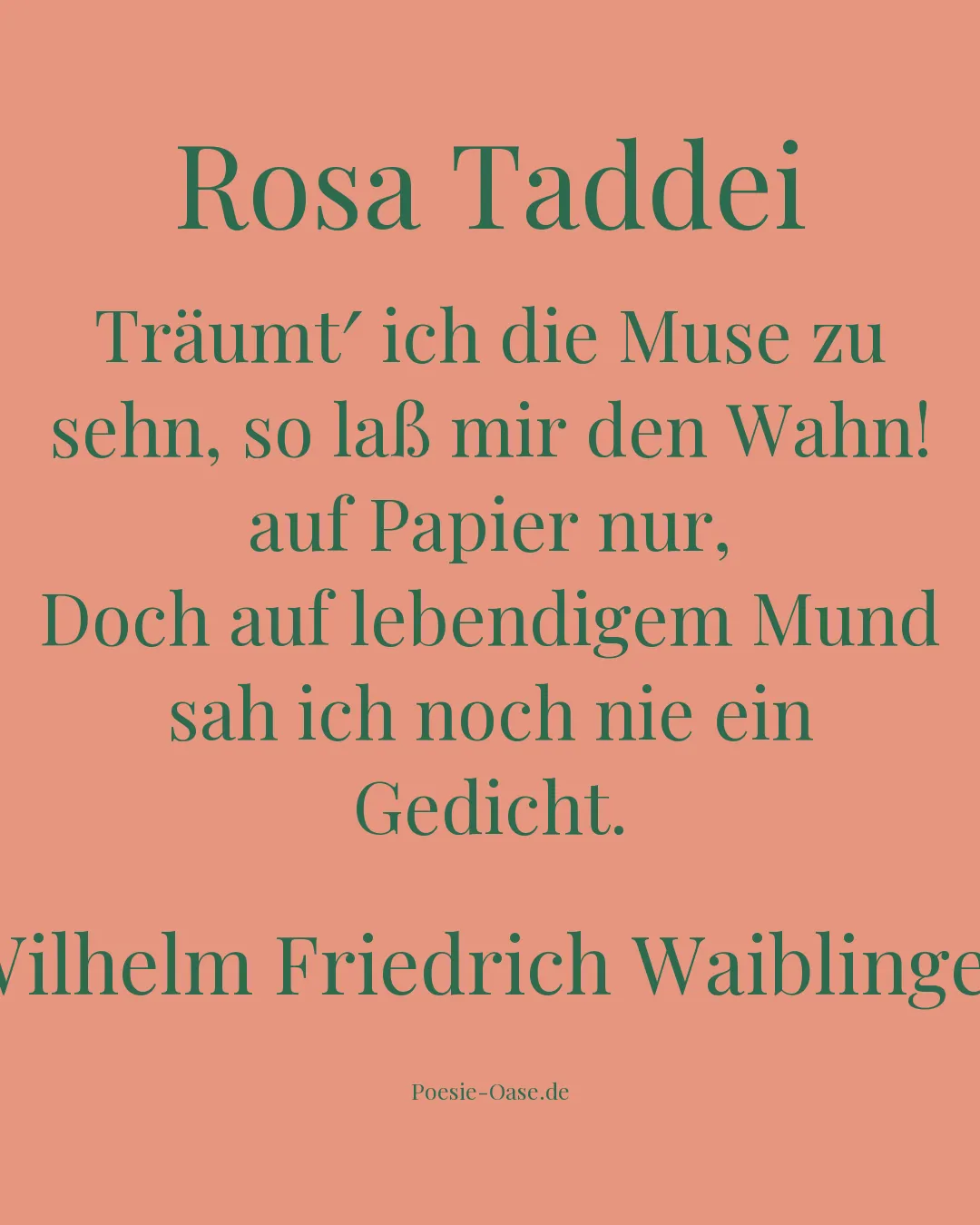Illustration zu Rosa Taddei