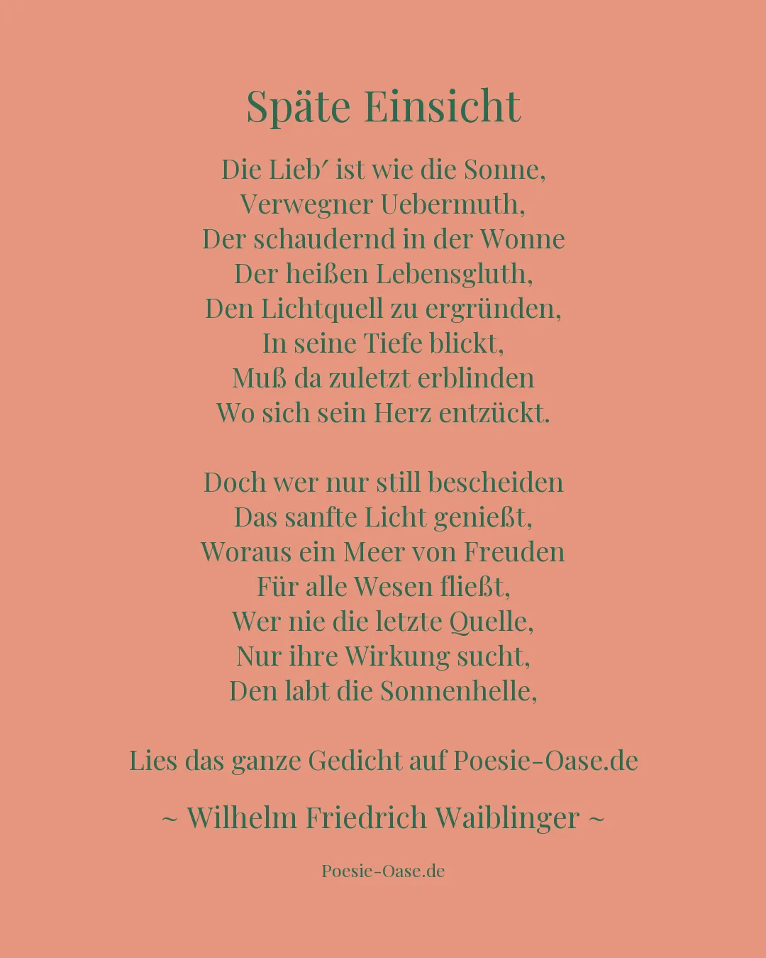 Illustration zu Späte Einsicht