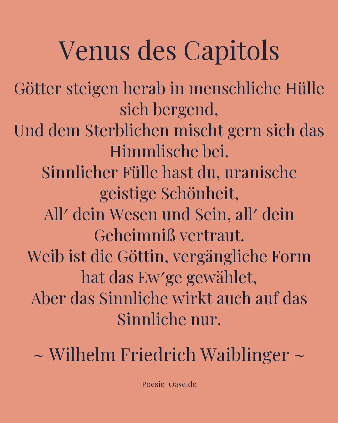 Illustration zu Venus des Capitols