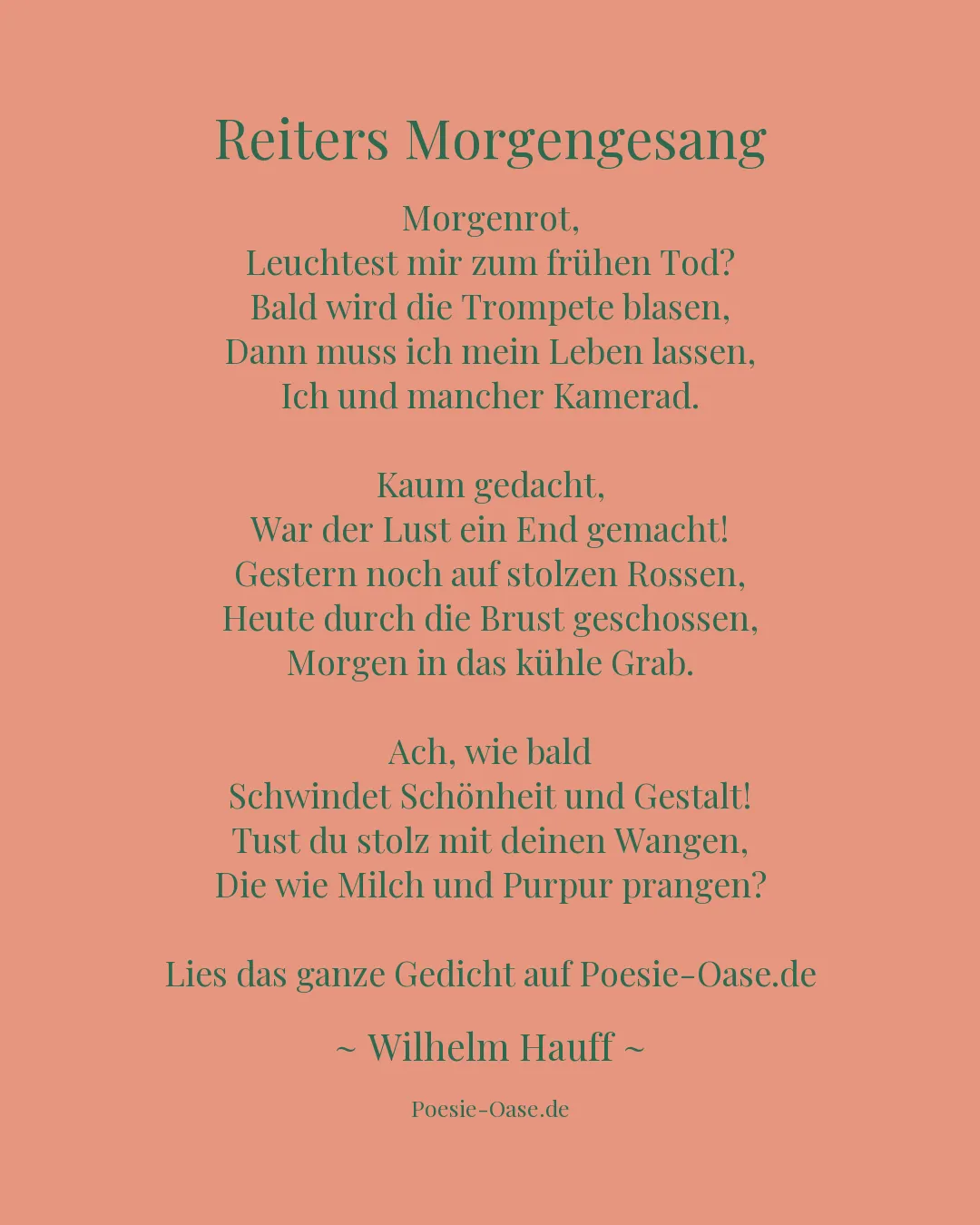 Illustration zu Reiters Morgengesang