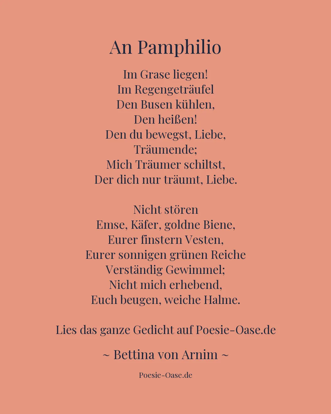Illustration zu An Pamphilio