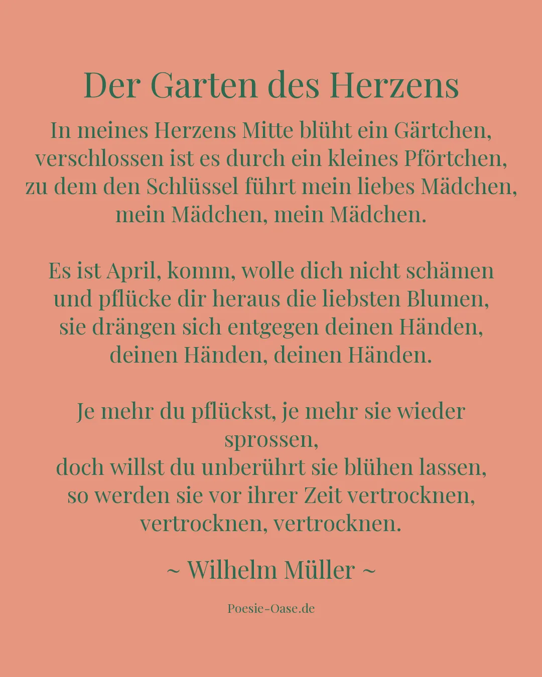 Illustration zu Der Garten des Herzens