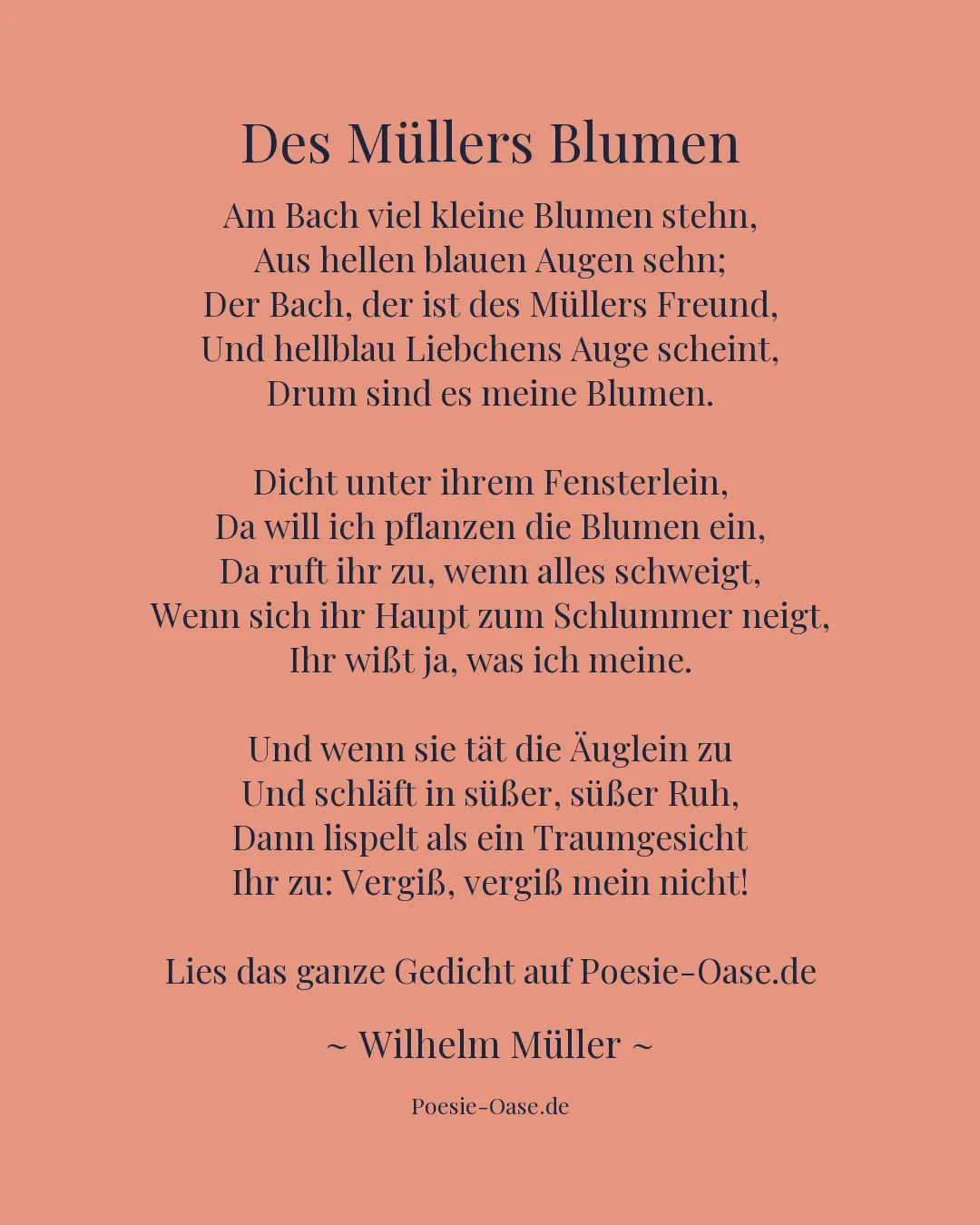 Illustration zu Des Müllers Blumen