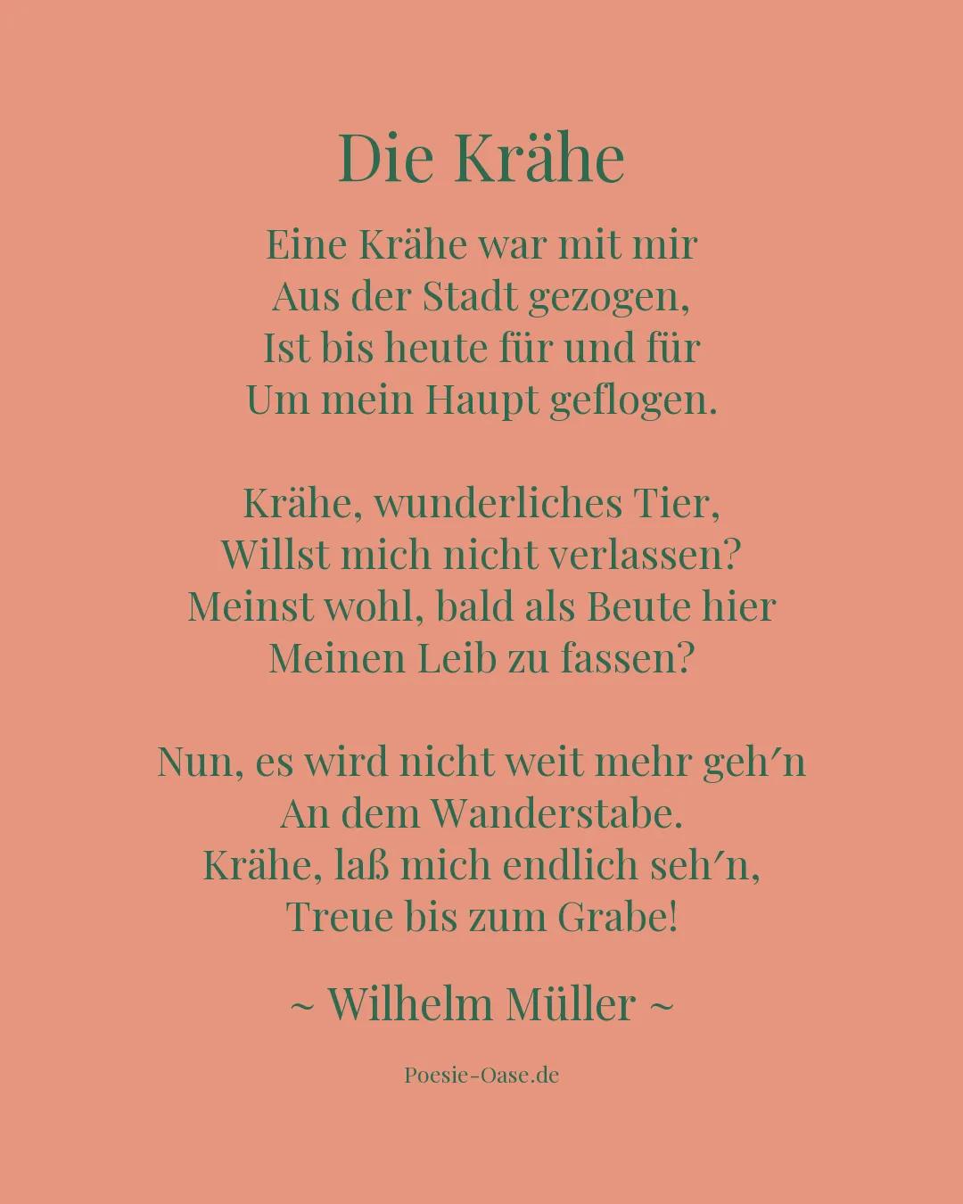 Illustration zu Die Krähe