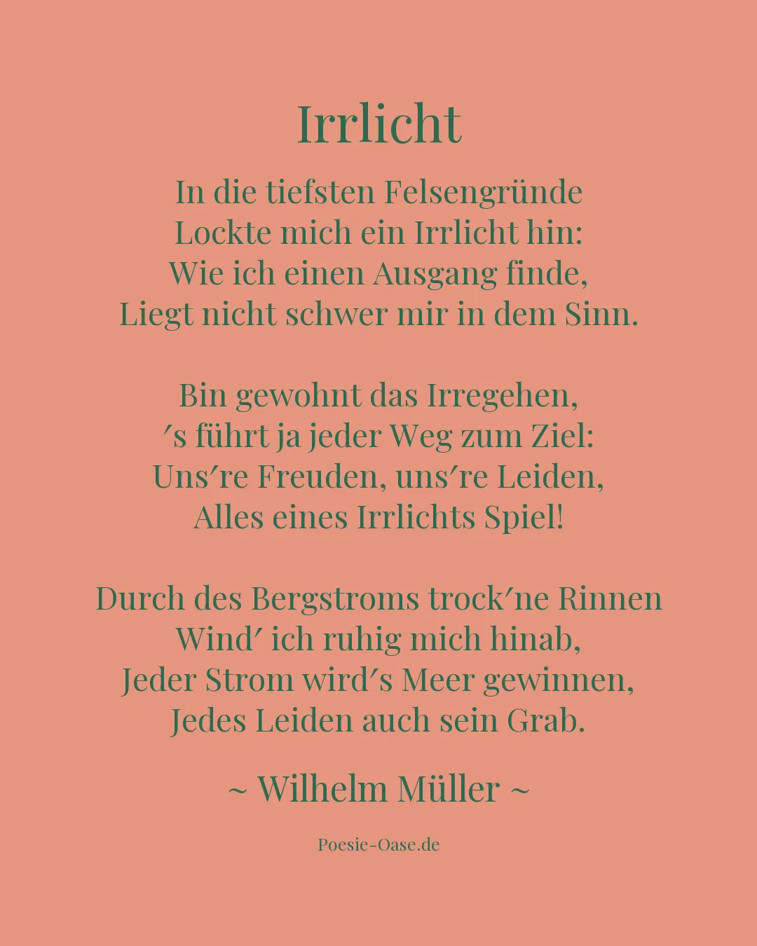Illustration zu Irrlicht