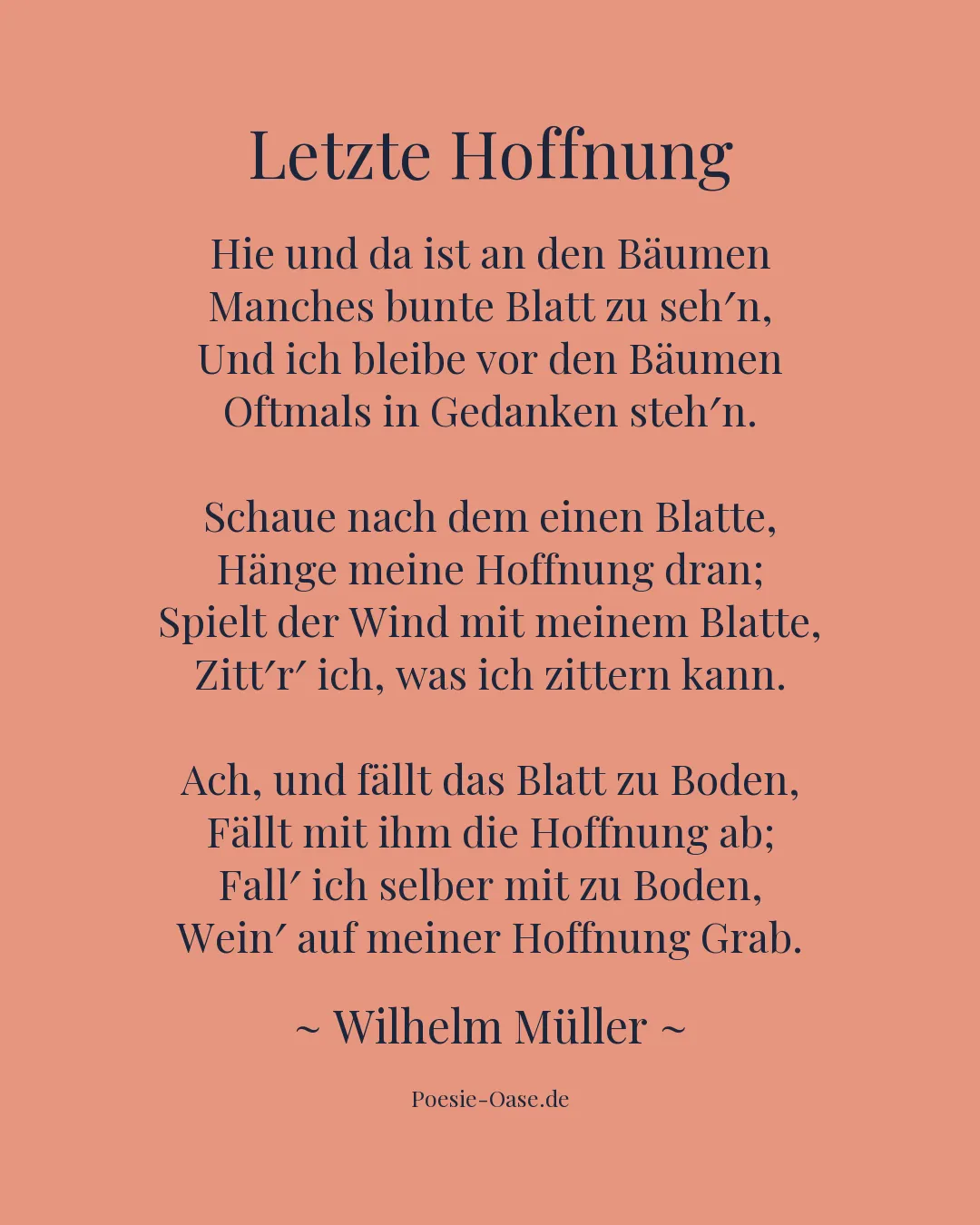 Illustration zu Letzte Hoffnung