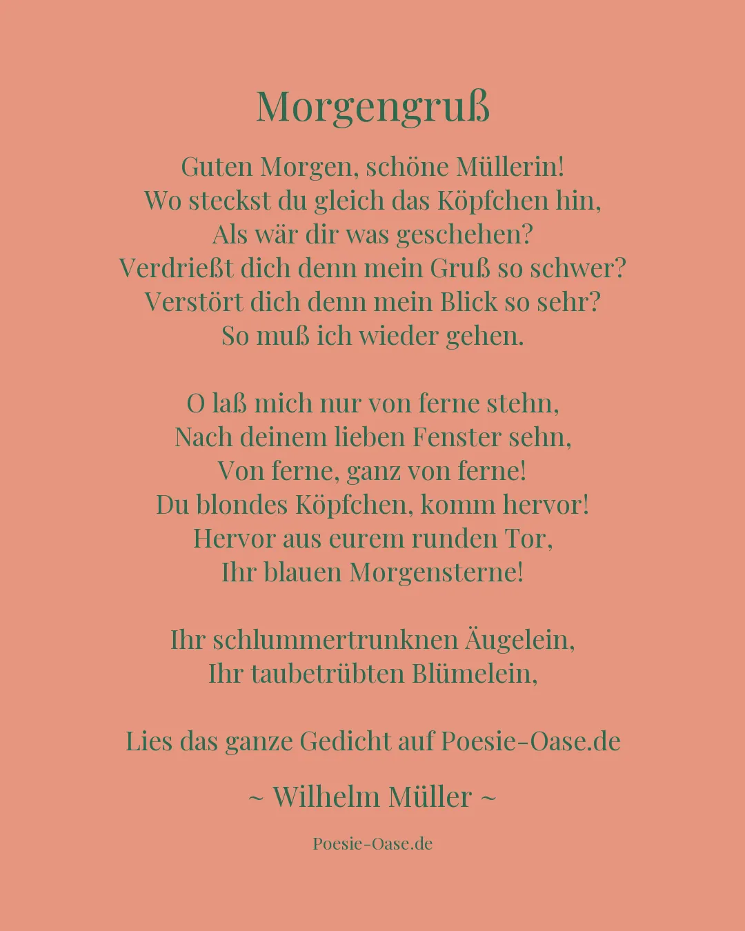 Illustration zu Morgengruß