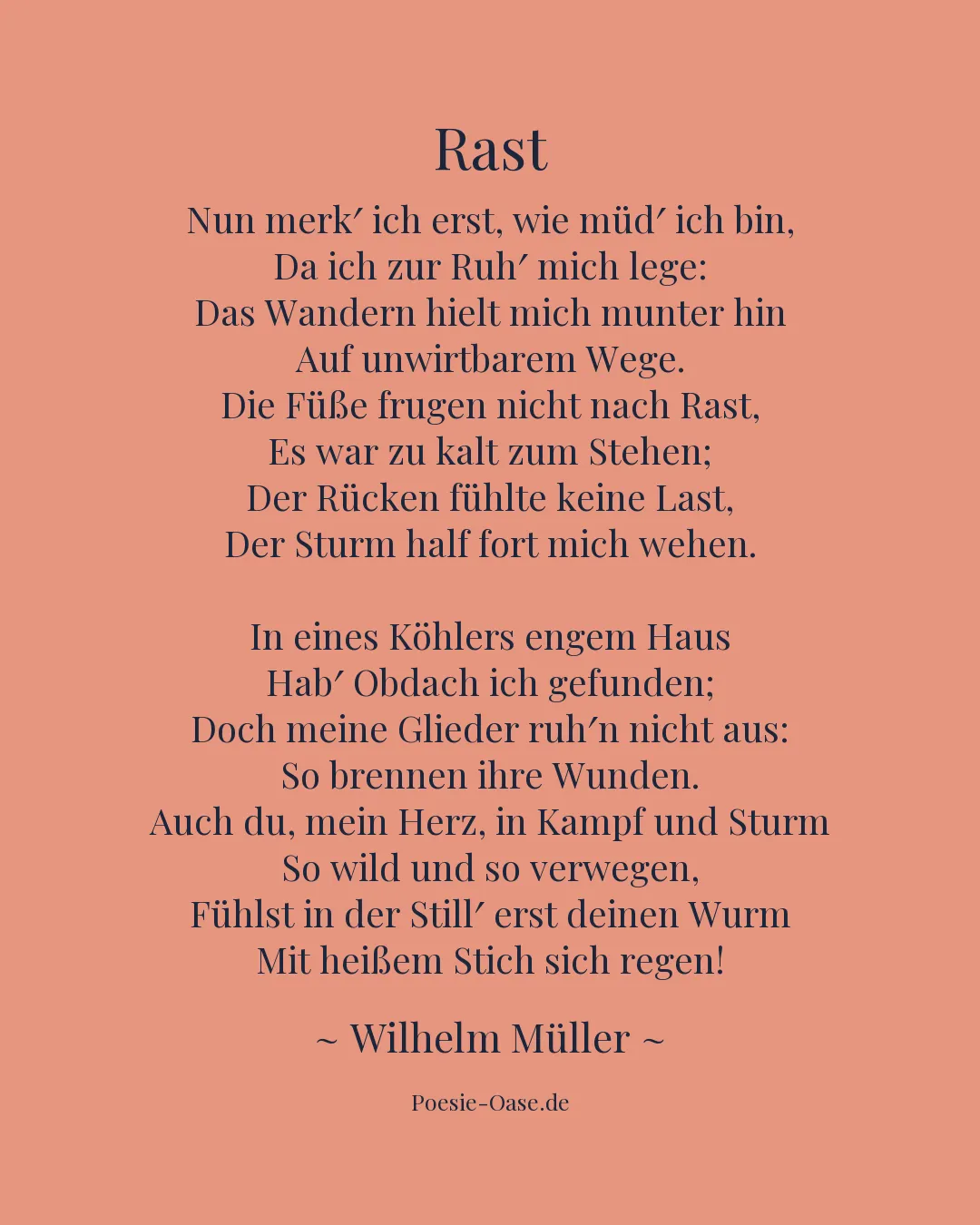 Illustration zu Rast