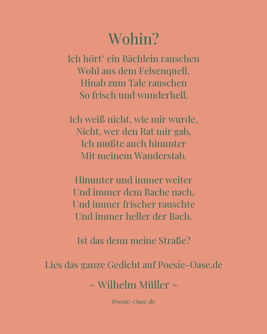 Illustration zu Wohin?