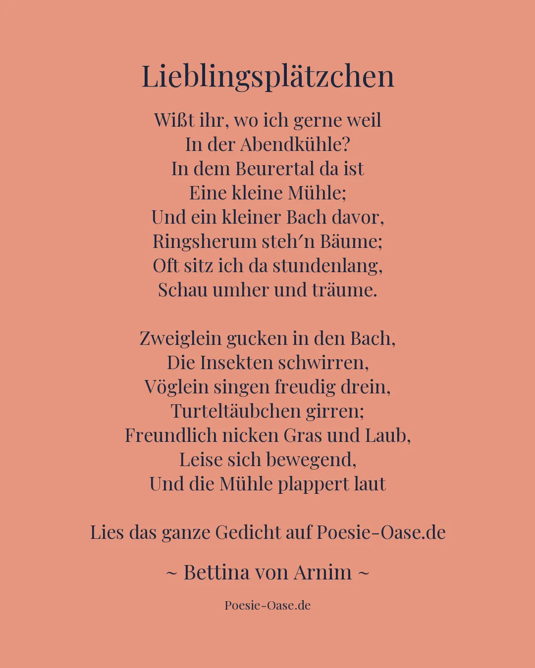 Illustration zu Lieblingsplätzchen