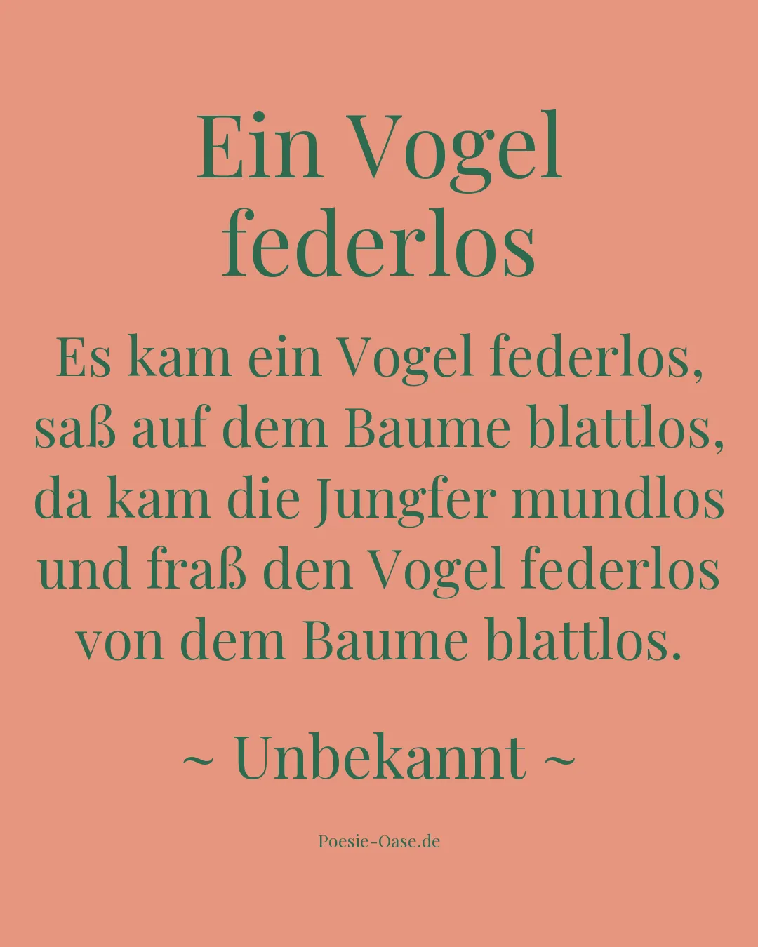 Illustration zu Ein Vogel federlos