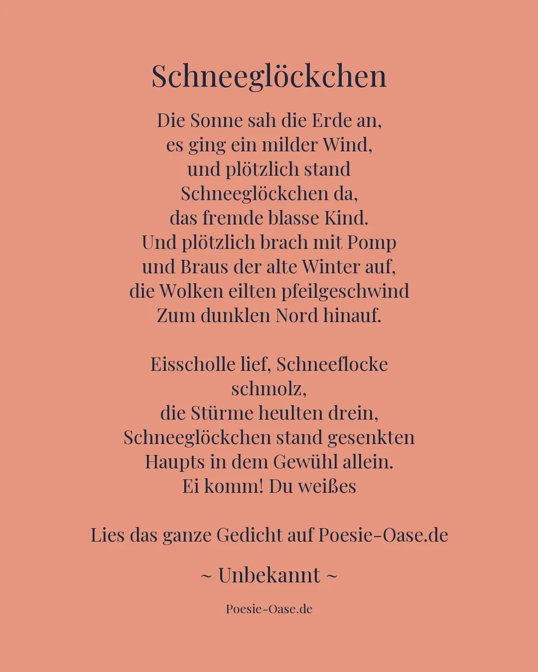 Illustration zu Schneeglöckchen