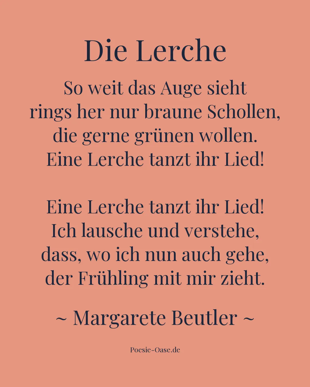 Illustration zu Die Lerche