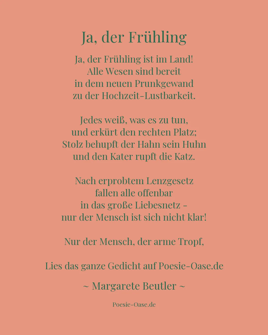 Illustration zu Ja, der Frühling