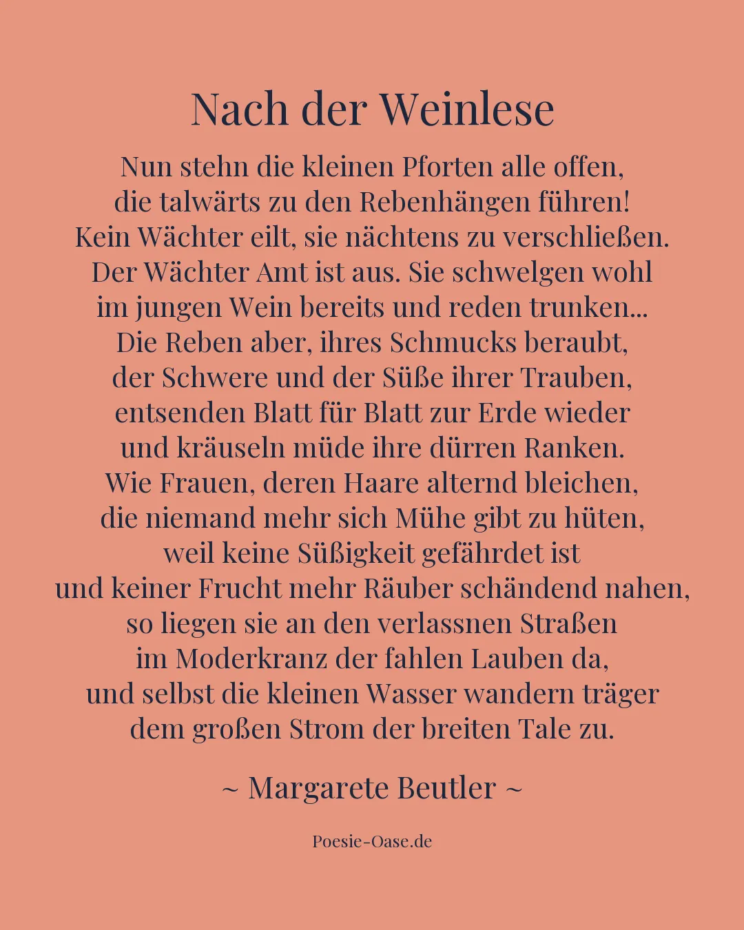 Illustration zu Nach der Weinlese
