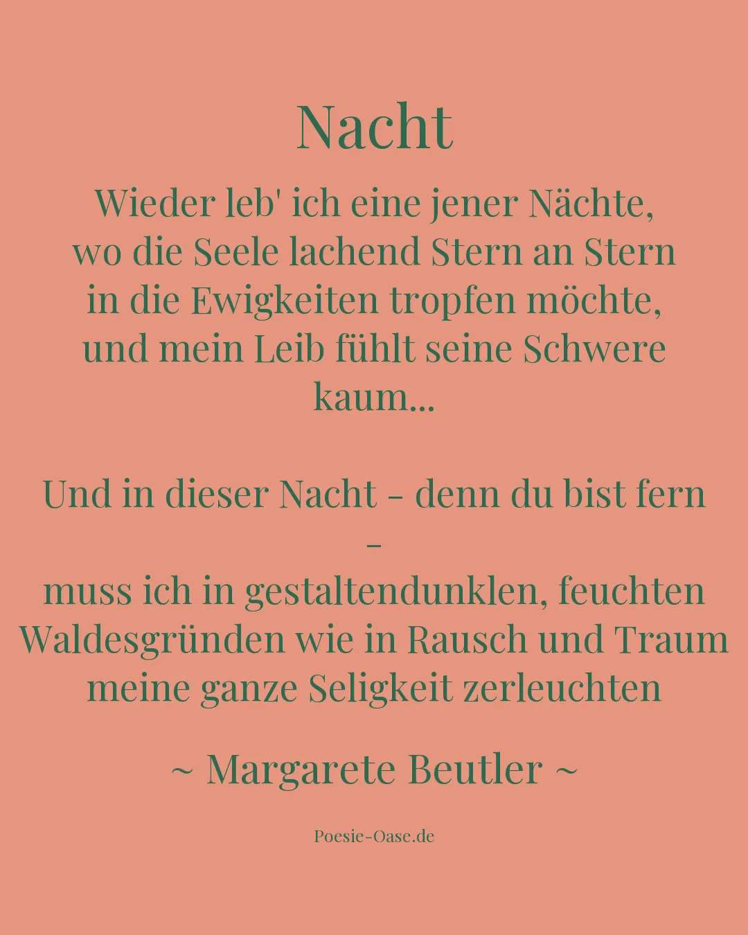 Illustration zu Nacht
