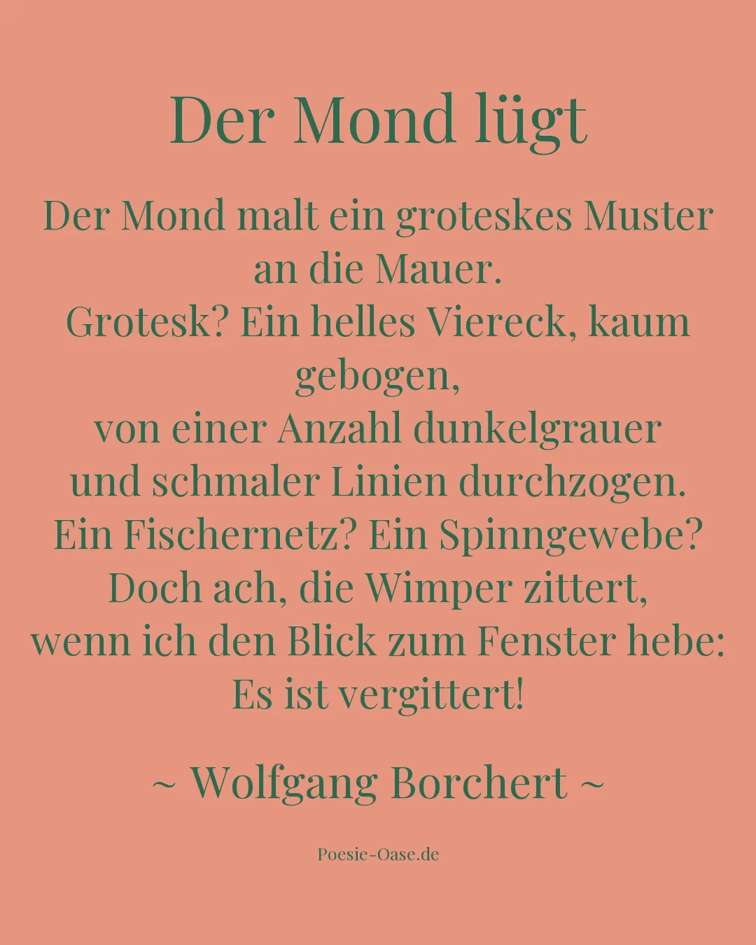 Illustration zu Der Mond lügt