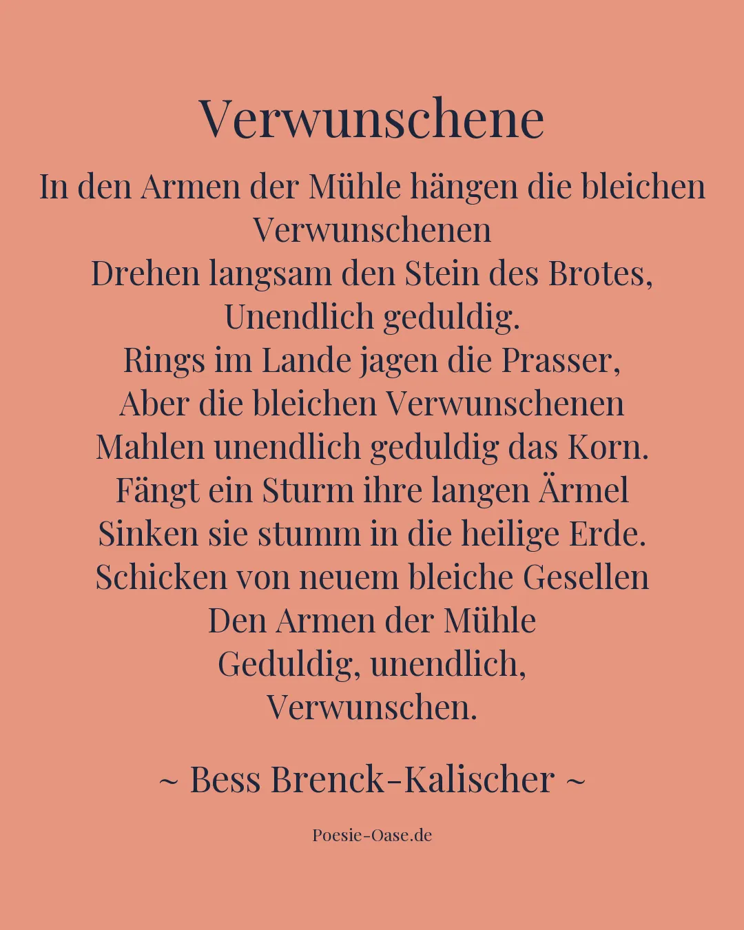 Illustration zu Verwunschene