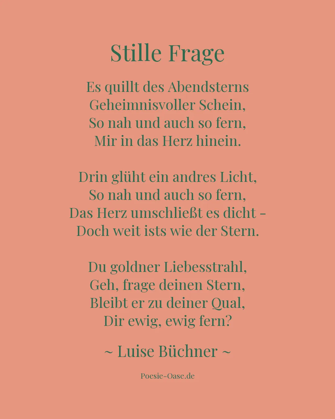 Illustration zu Stille Frage