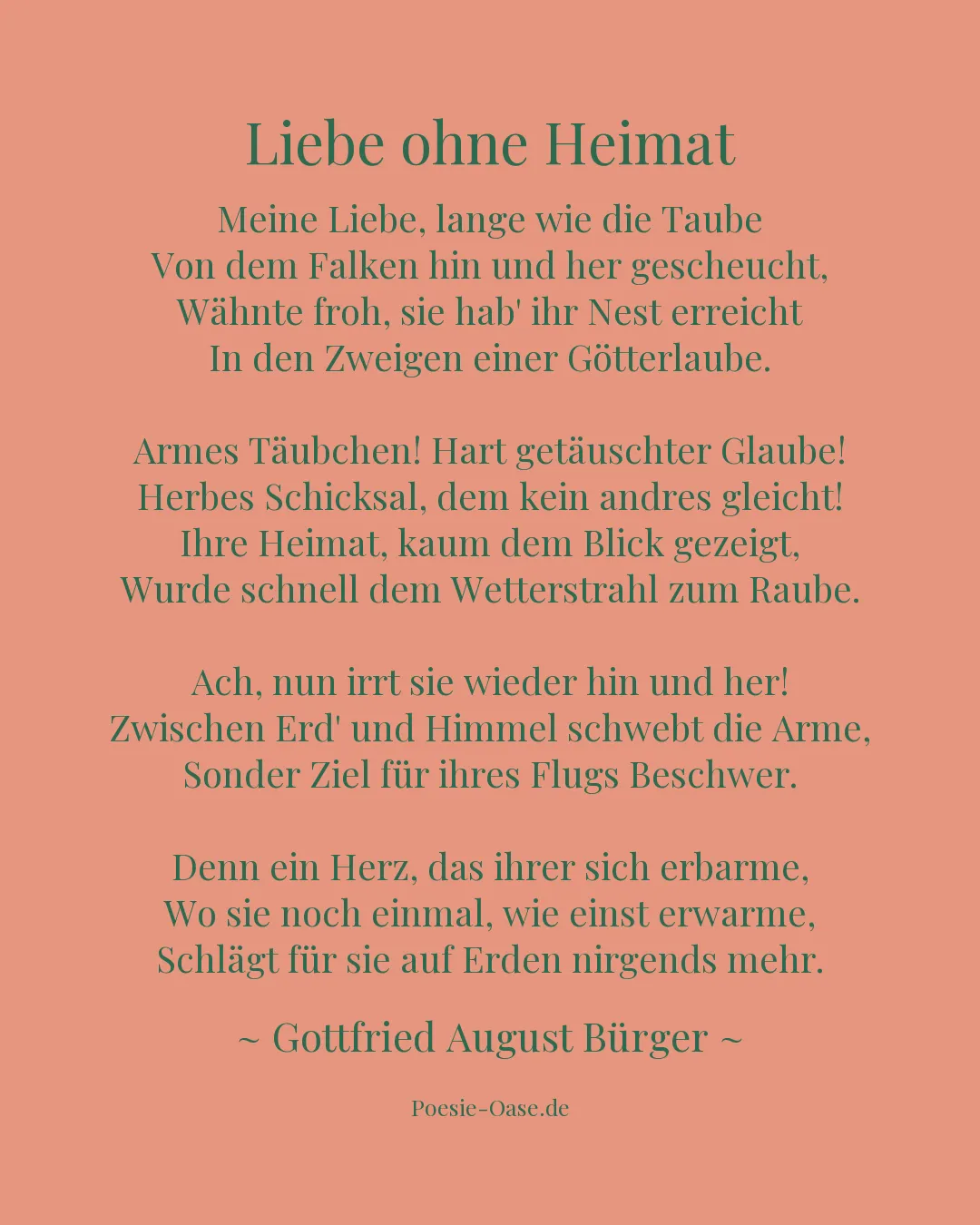 Illustration zu Liebe ohne Heimat