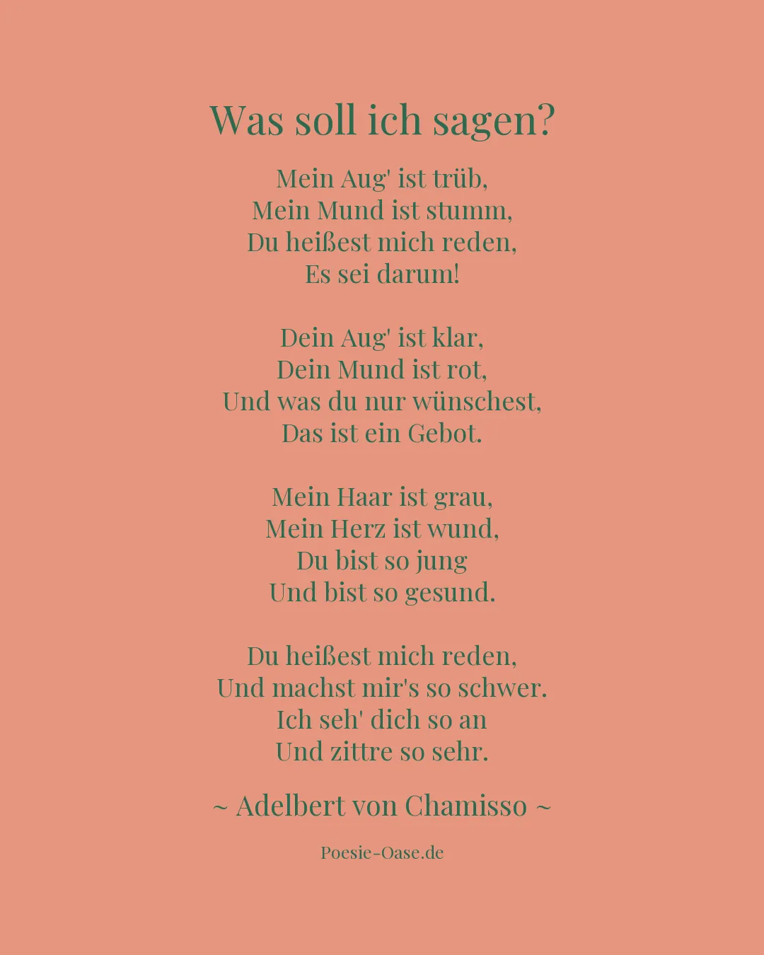 Illustration zu Was soll ich sagen?