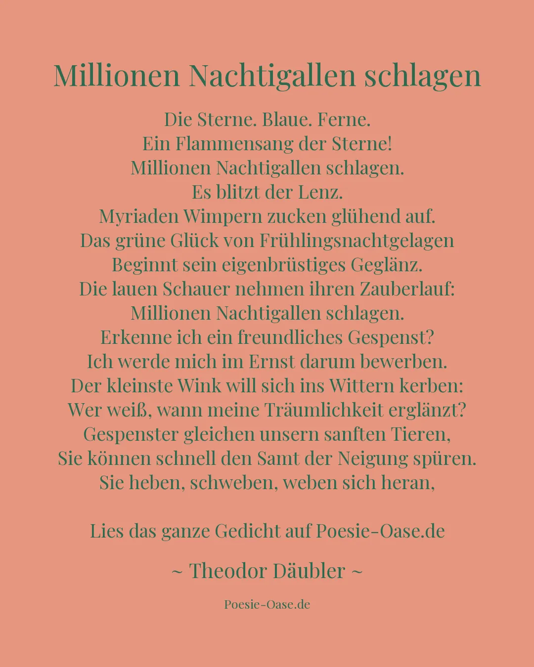 Illustration zu Millionen Nachtigallen schlagen
