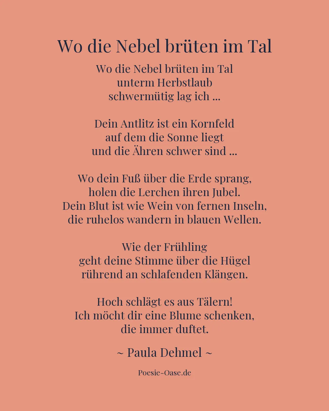 Illustration zu Wo die Nebel brüten im Tal