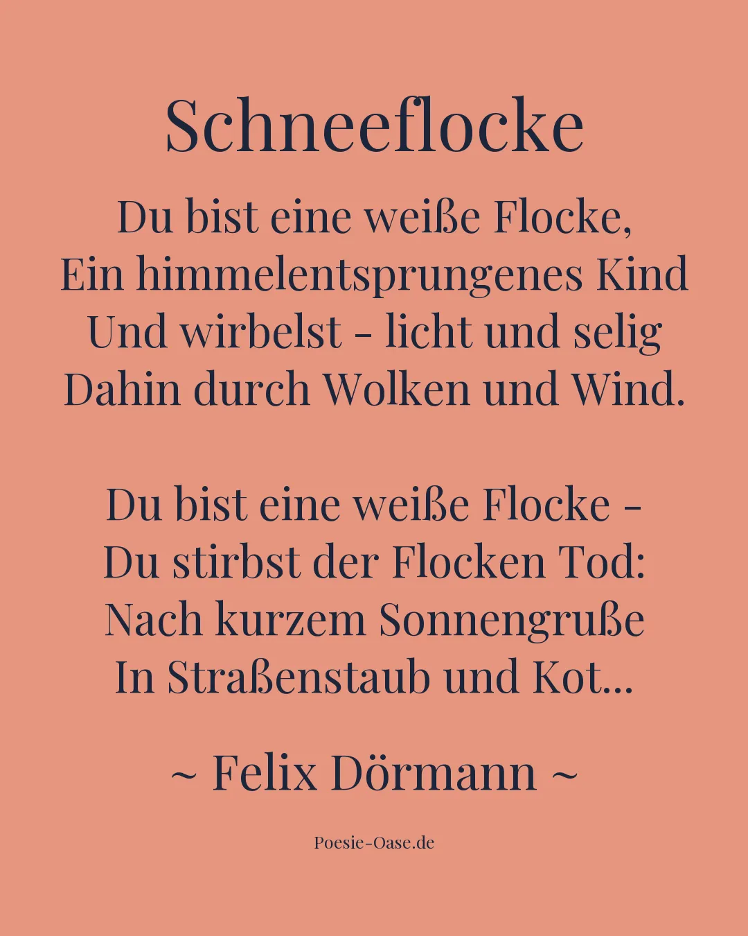 Illustration zu Schneeflocke