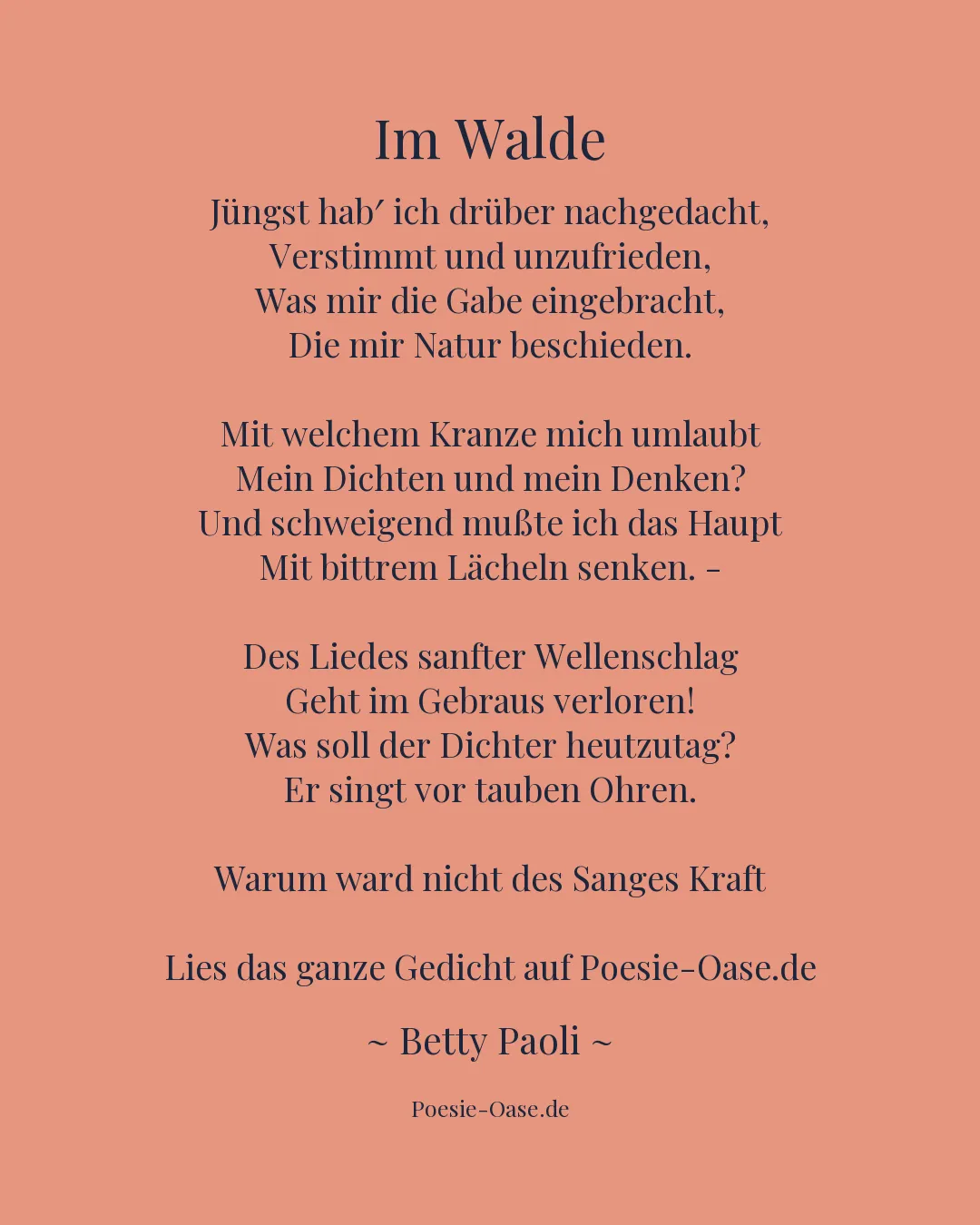 Illustration zu Im Walde
