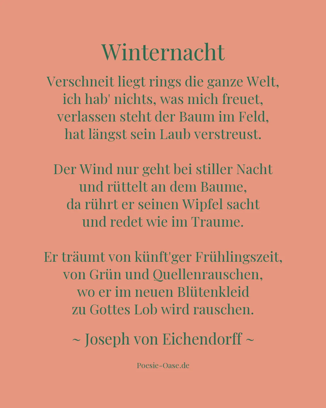 Illustration zu Winternacht