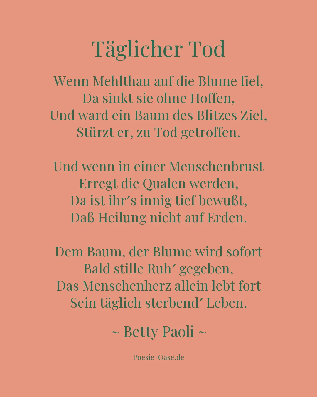 Illustration zu Täglicher Tod