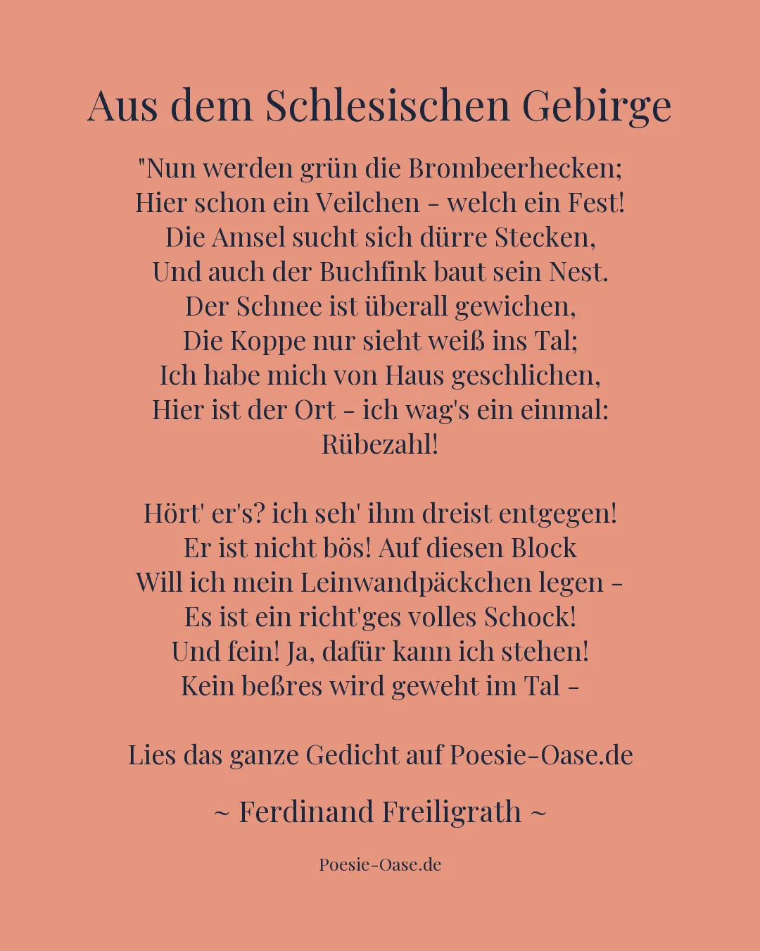 Illustration zu Aus dem Schlesischen Gebirge