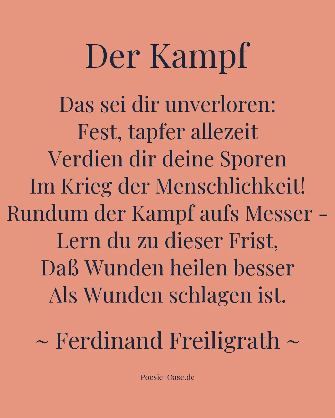 Illustration zu Der Kampf