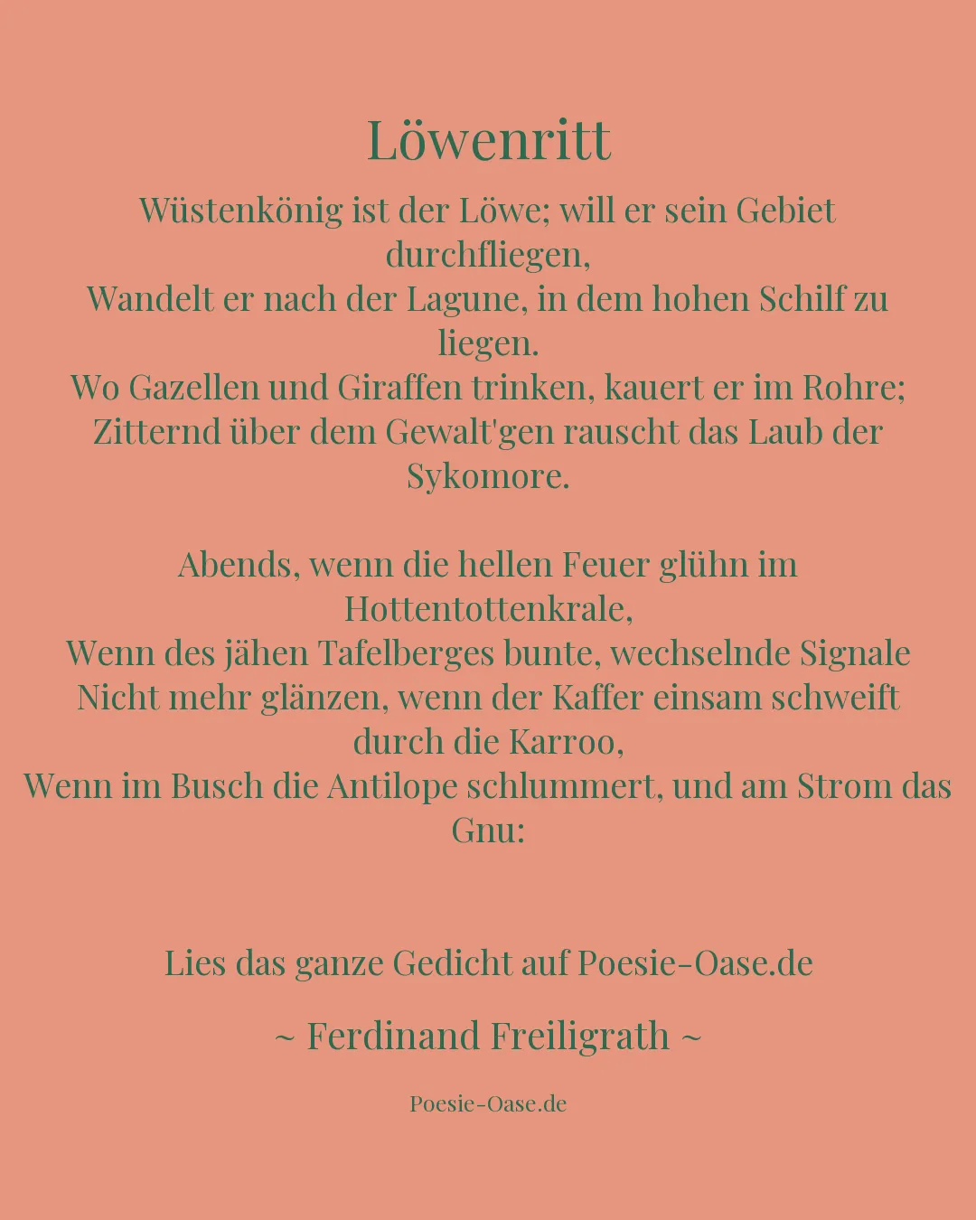 Illustration zu Löwenritt