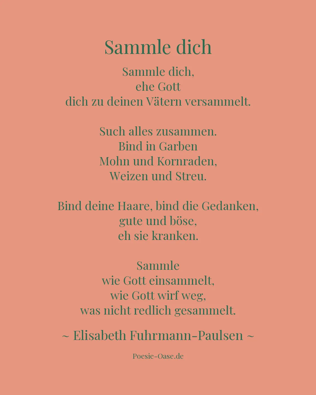 Illustration zu Sammle dich