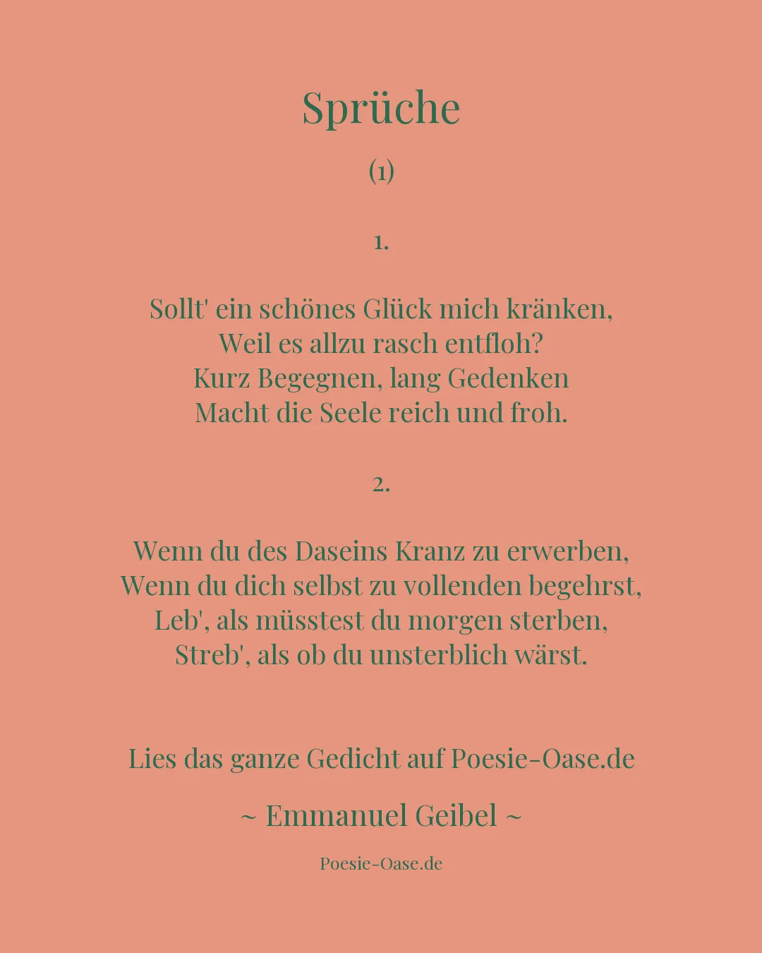 Illustration zu Sprüche