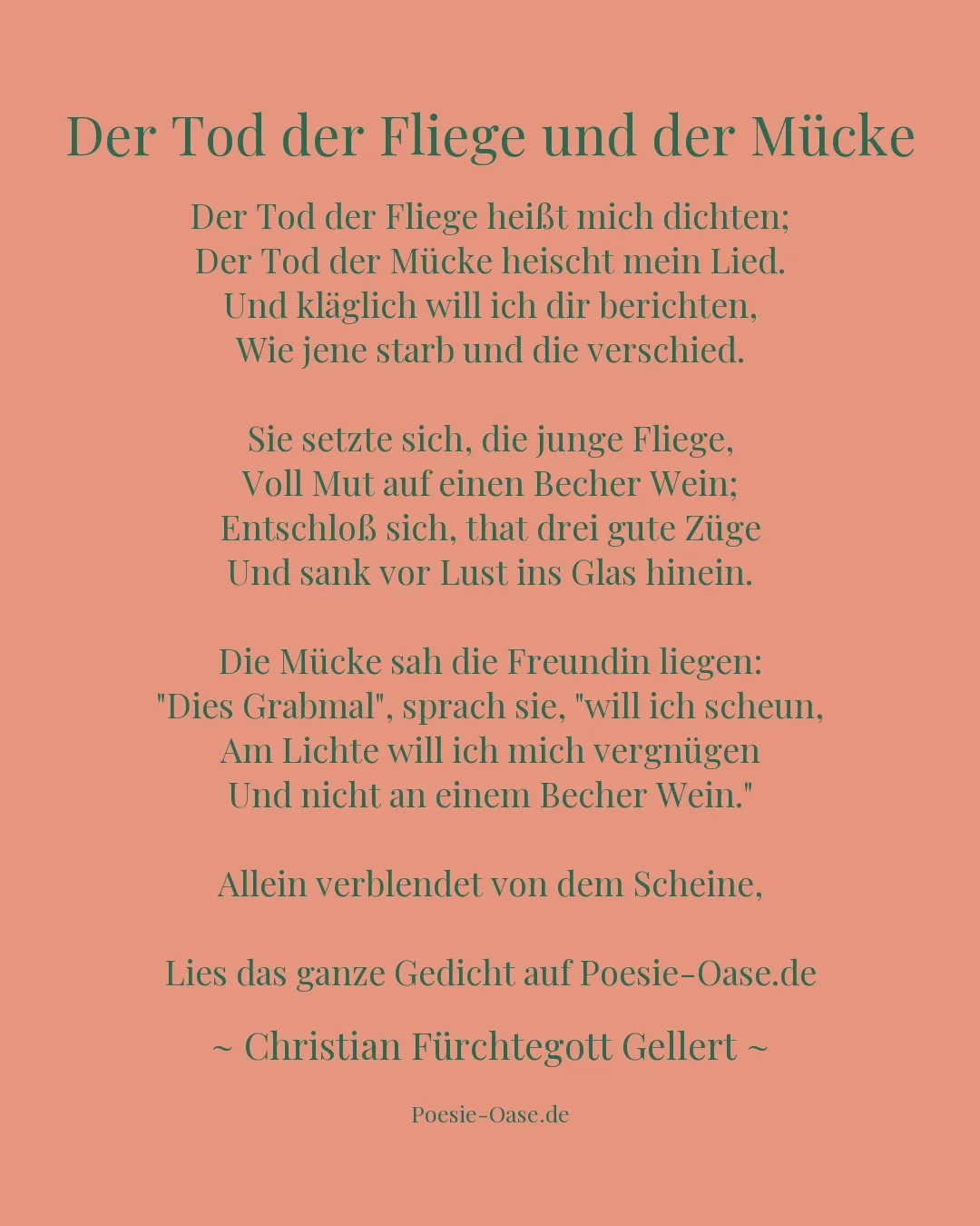 Illustration zu Der Tod der Fliege und der Mücke