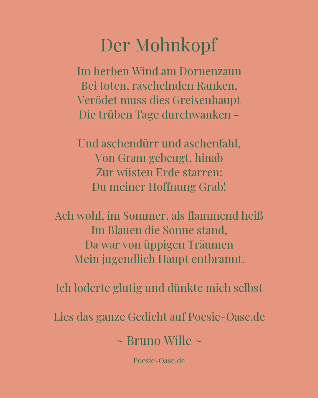 Illustration zu Der Mohnkopf