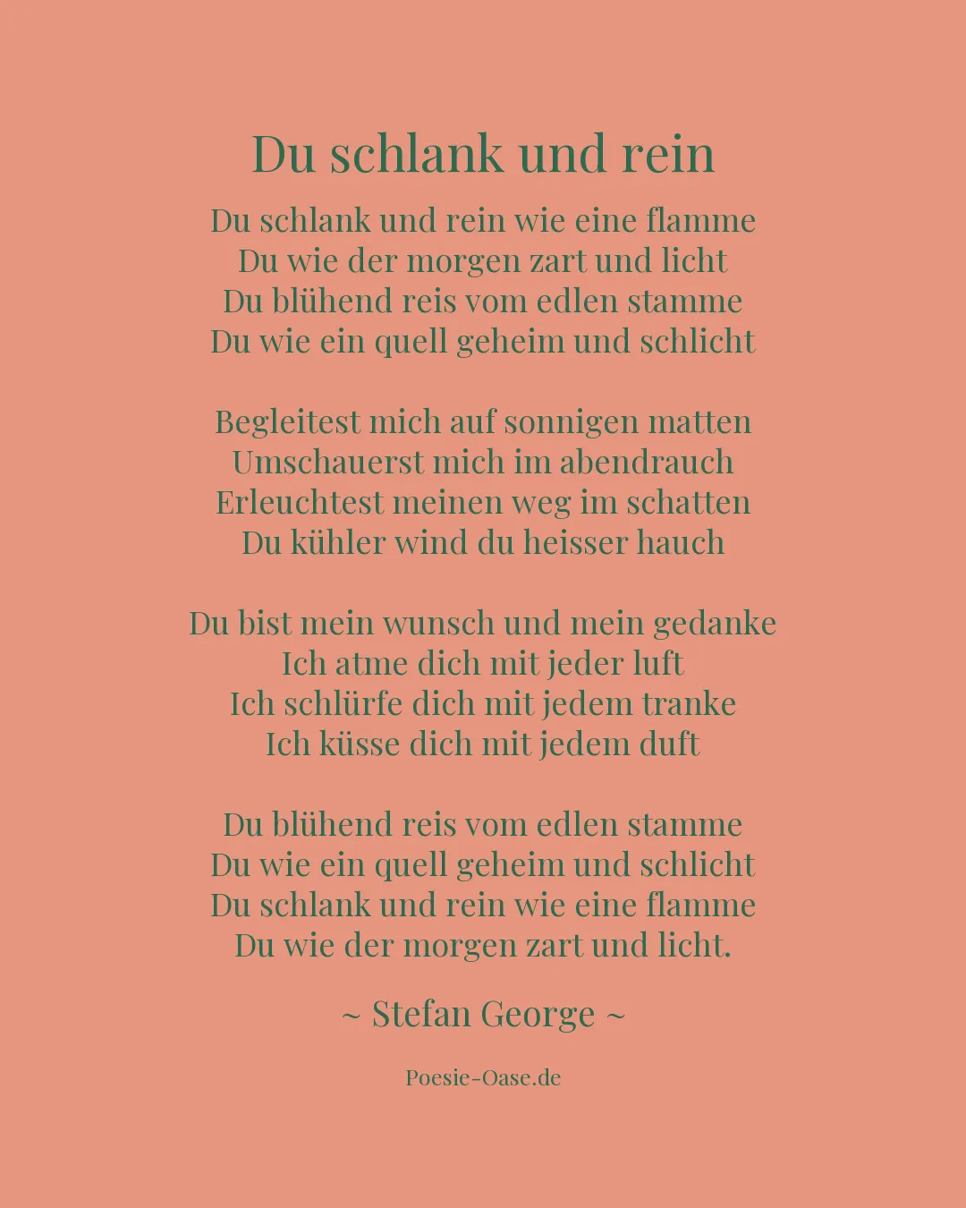 Illustration zu Du schlank und rein