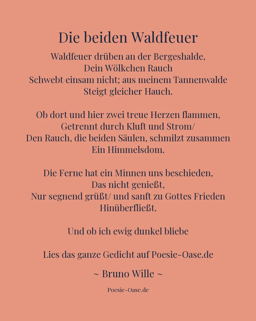 Illustration zu Die beiden Waldfeuer