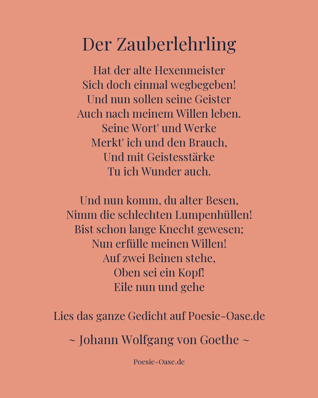 Illustration zu Der Zauberlehrling