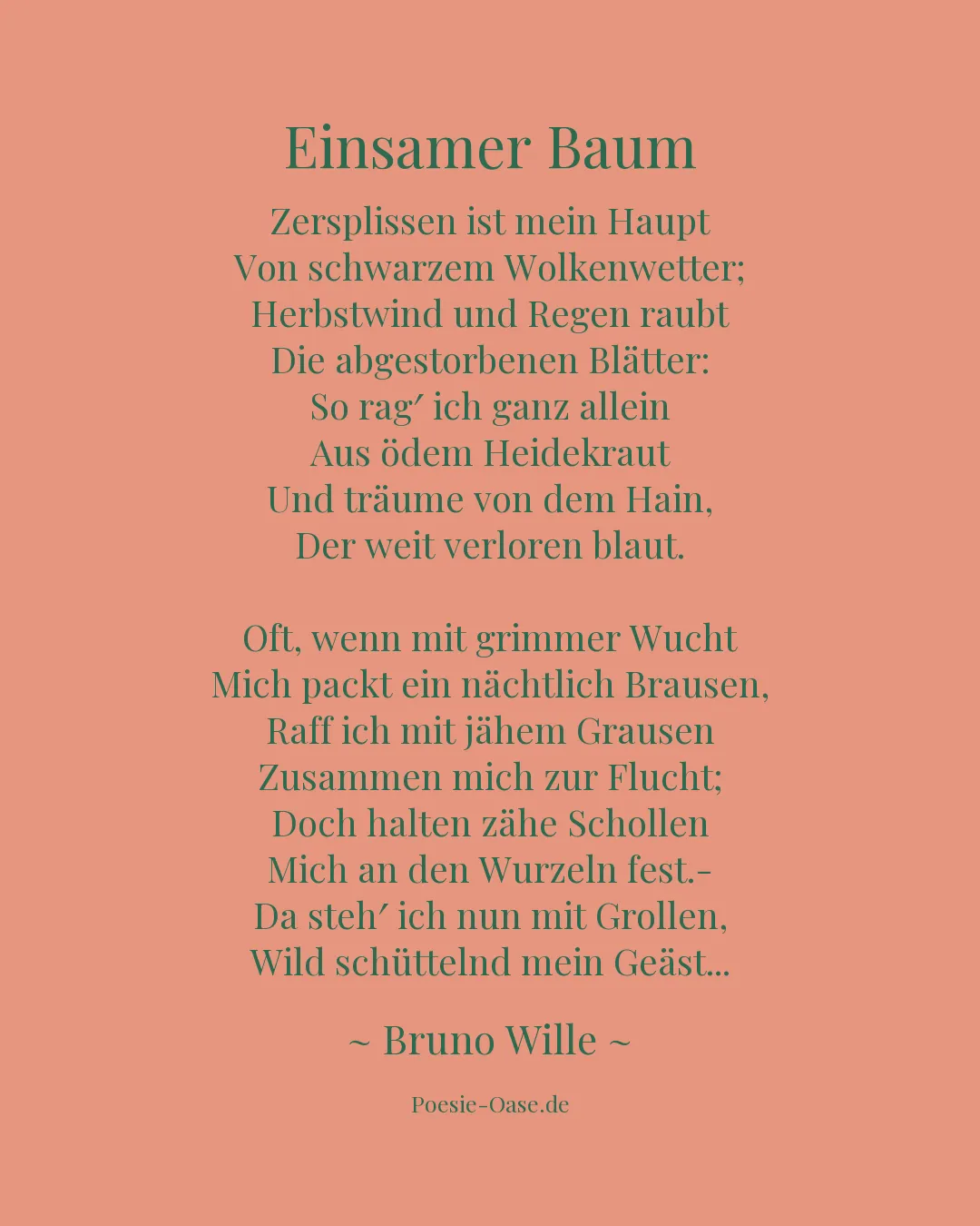 Illustration zu Einsamer Baum
