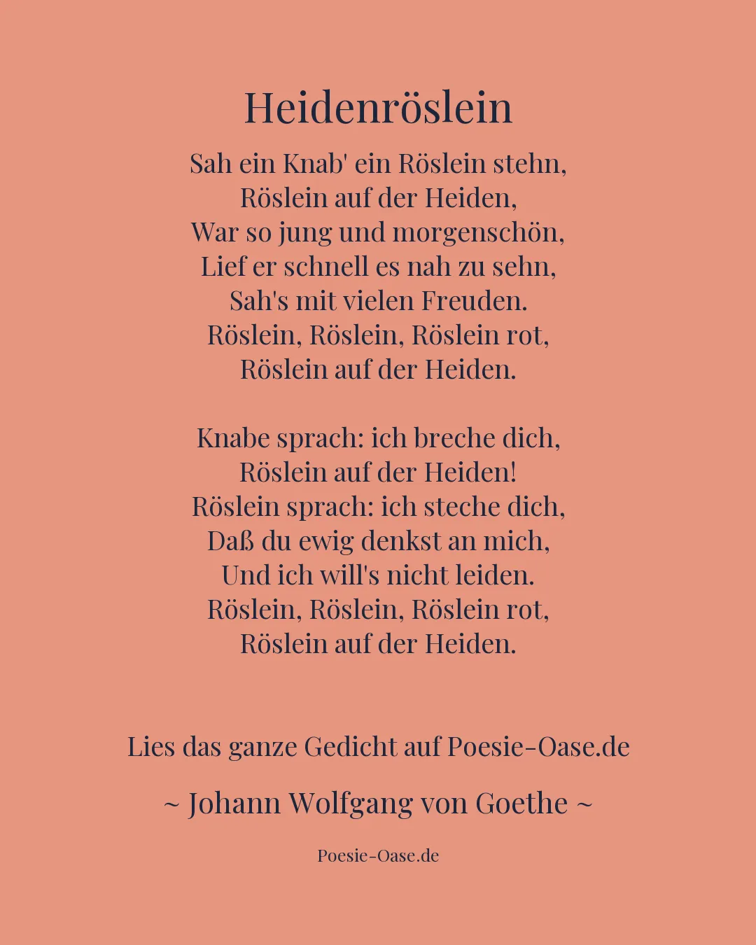 Illustration zu Heidenröslein