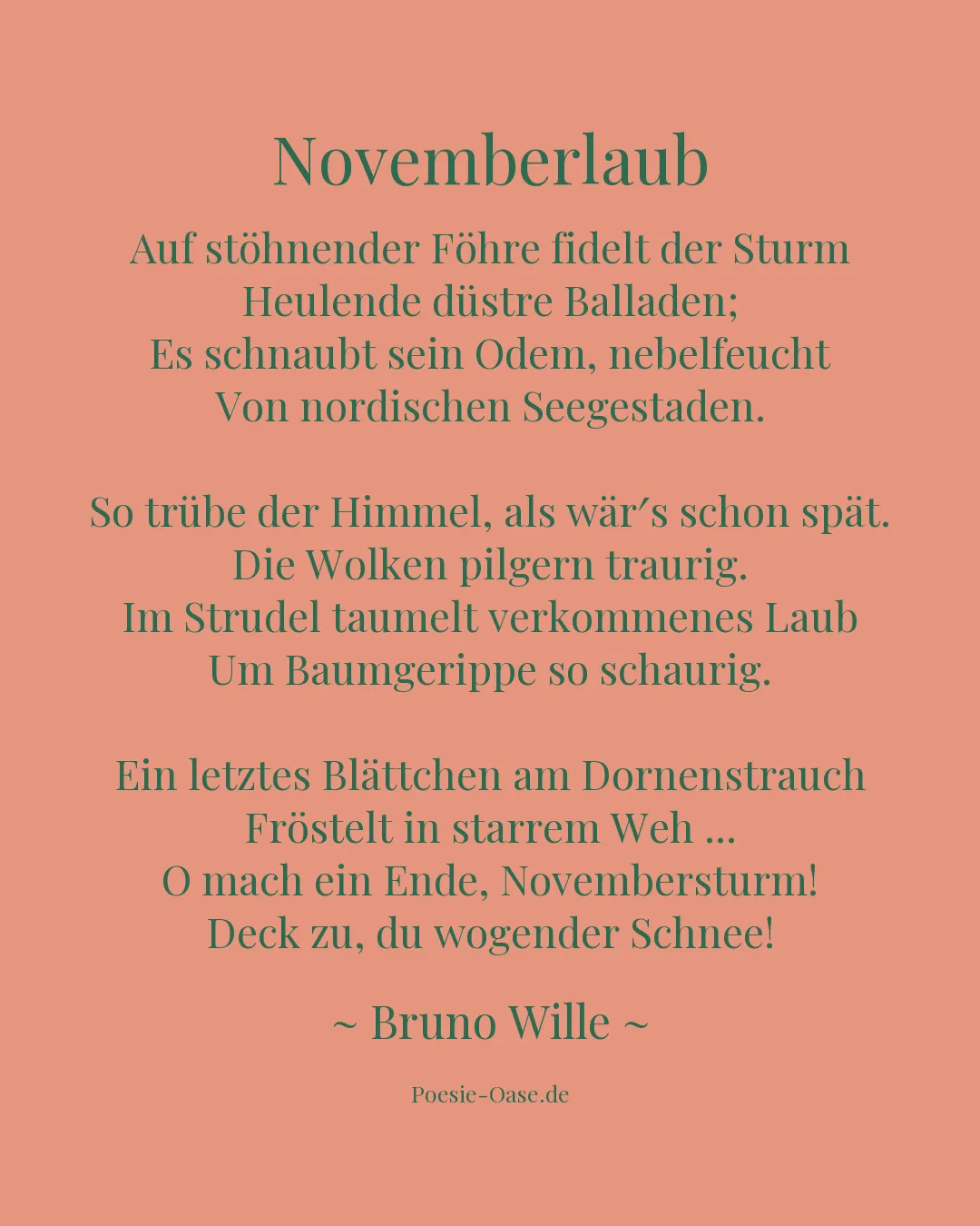 Illustration zu Novemberlaub