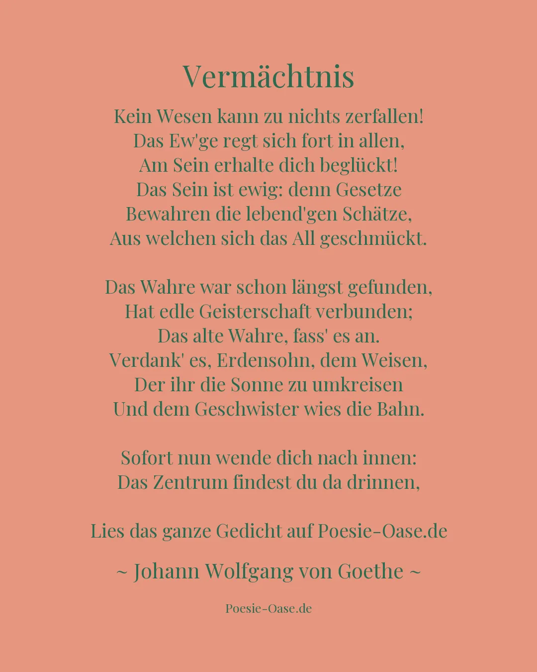 Illustration zu Vermächtnis