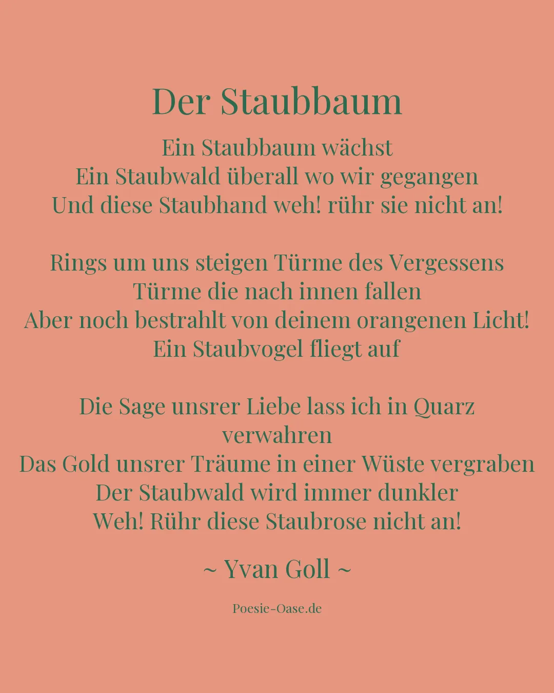 Illustration zu Der Staubbaum