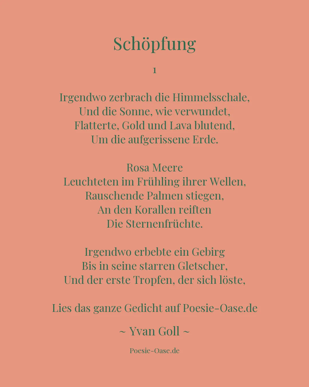 Illustration zu Schöpfung