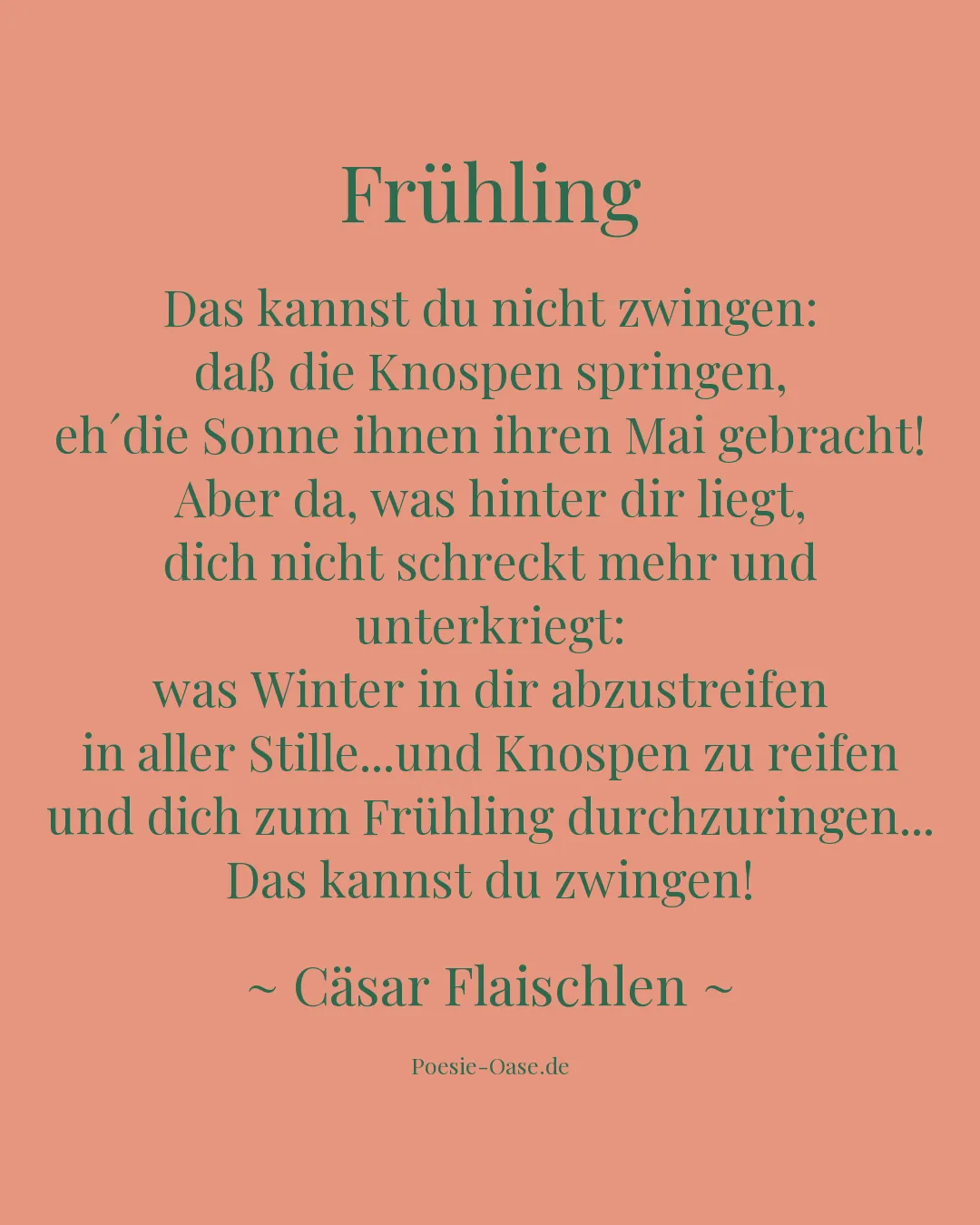 Illustration zu Frühling