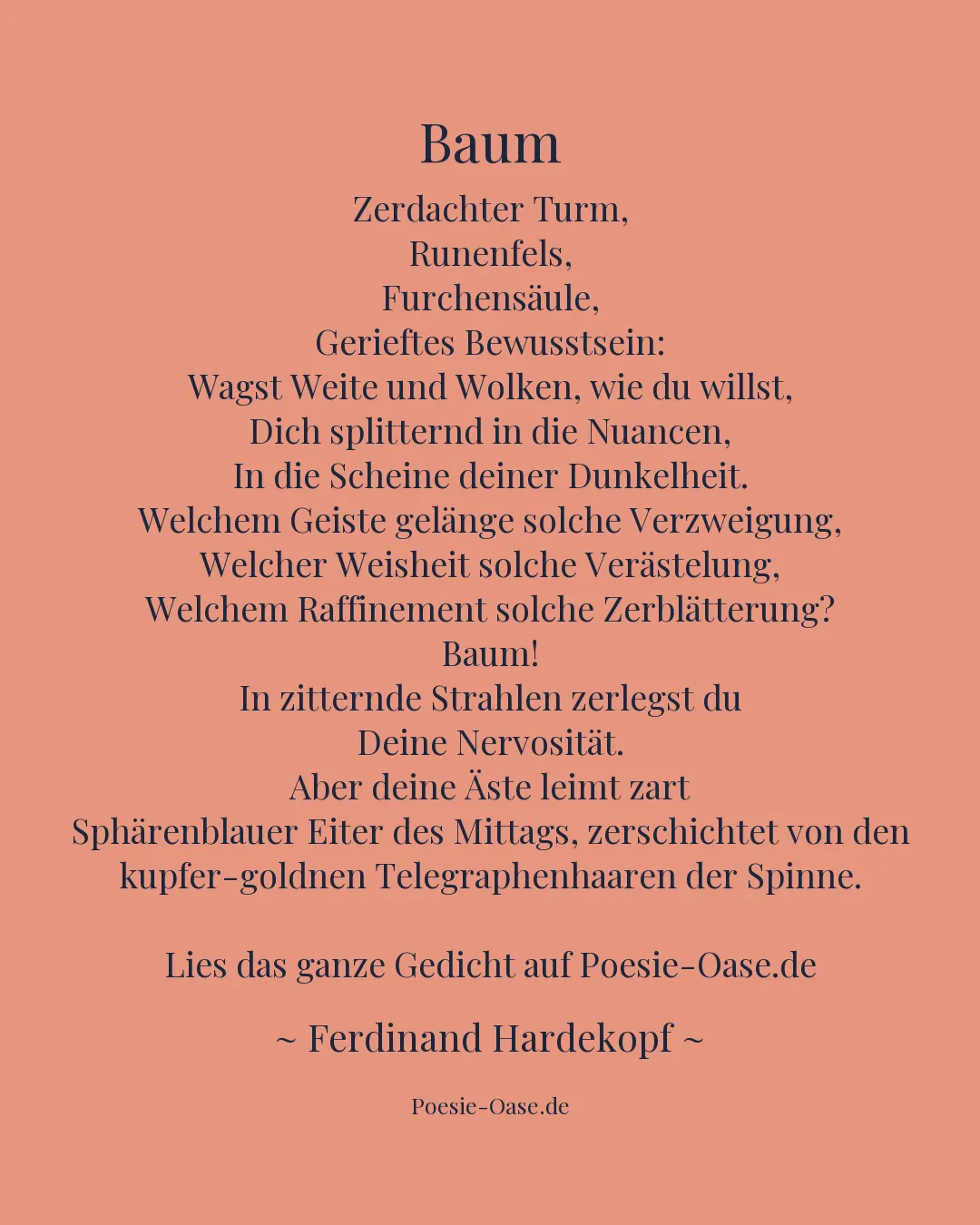 Illustration zu Baum